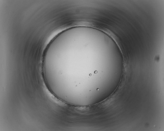 X0000112151147200908281334