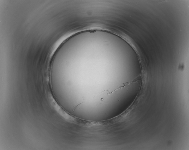 X0000112151148200908281334