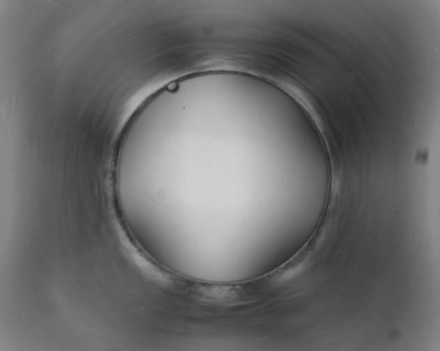 X0000112151149200908281334