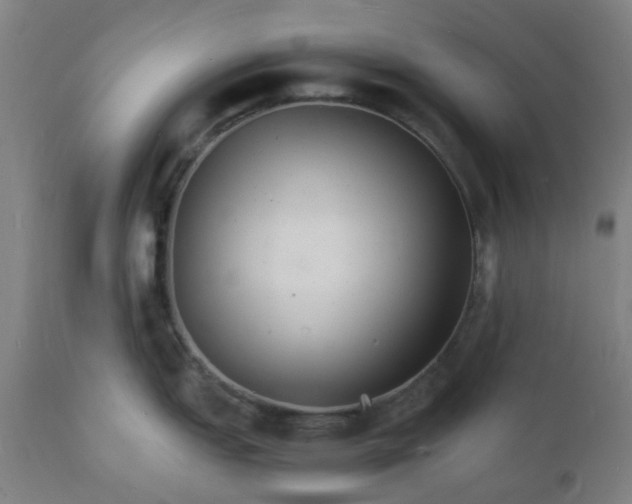 X0000112151151200908281334