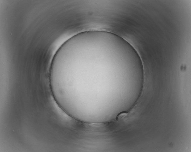 X0000112151152200908281334