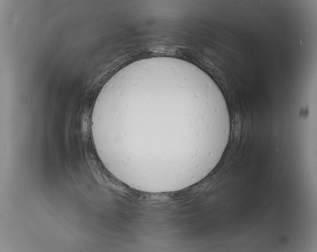 X0000112151154200908281333