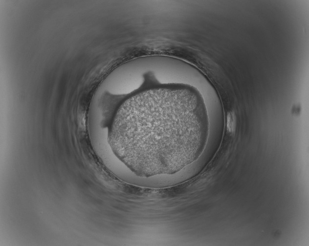 X0000112151155200908281333