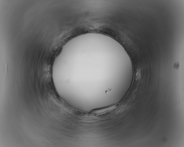 X0000112151156200908281333
