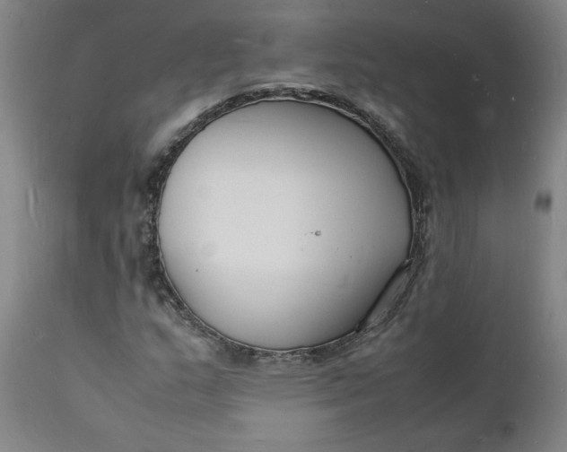 X0000112151159200908281333