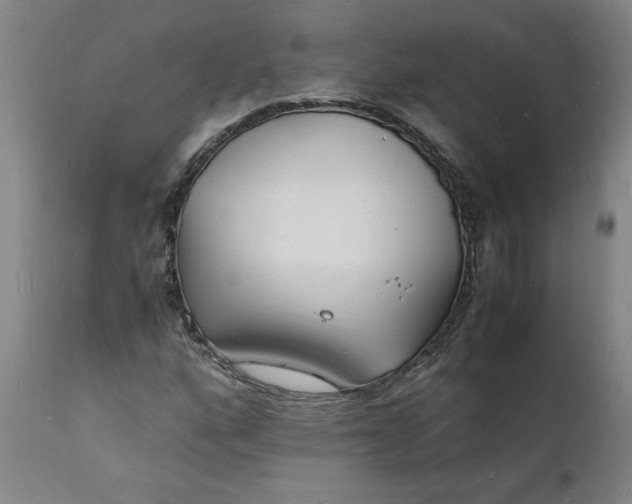 X0000112151160200908281333