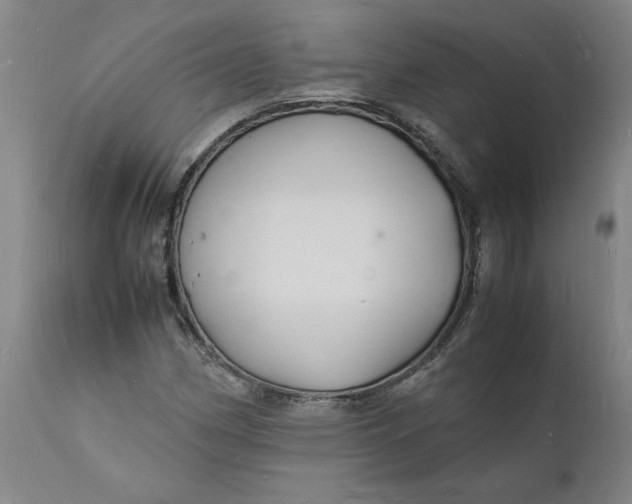 X0000112151162200908281333