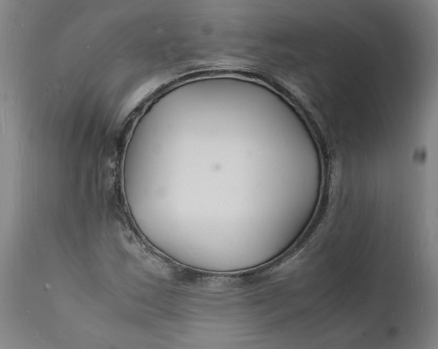 X0000112151163200908281333
