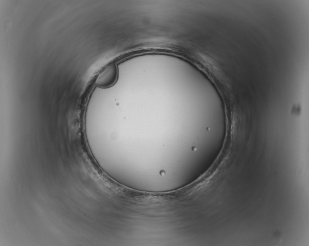 X0000112151164200908281333