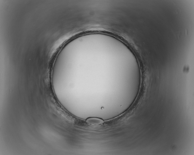 X0000112151167200908281333