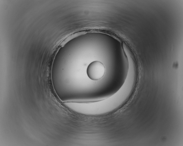 X0000112151169200908281333