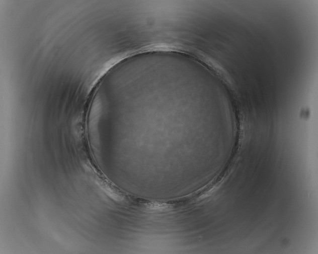 X0000112151170200908281333