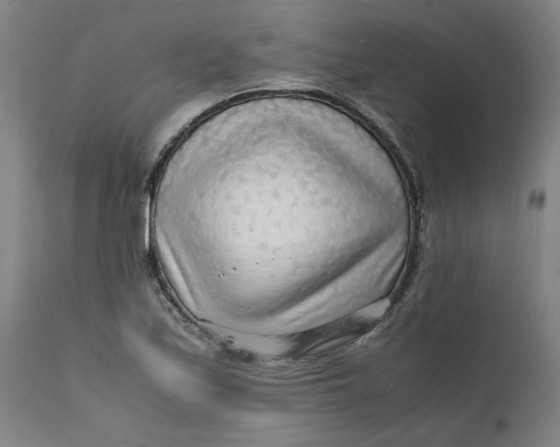 X0000112151171200908281333