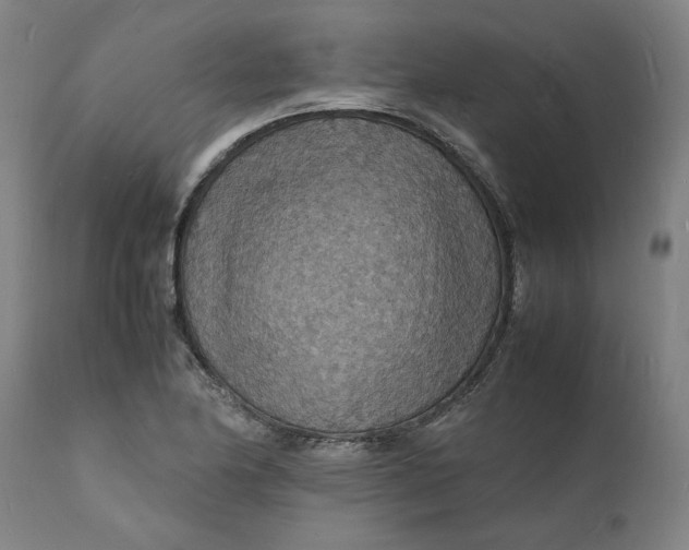 X0000112151174200908281333