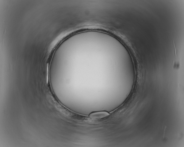 X0000112151175200908281333