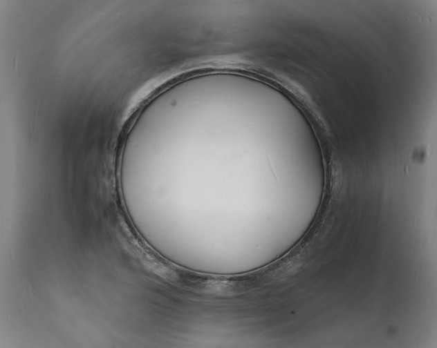 X0000112151176200908281333