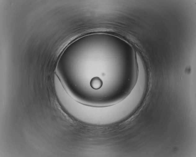 X0000112151177200908281333
