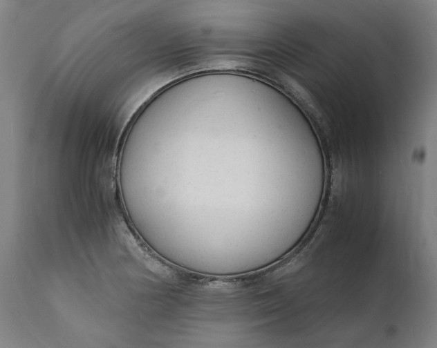 X0000112151178200908281333