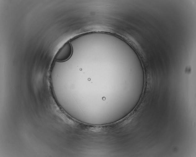 X0000112151182200908281333