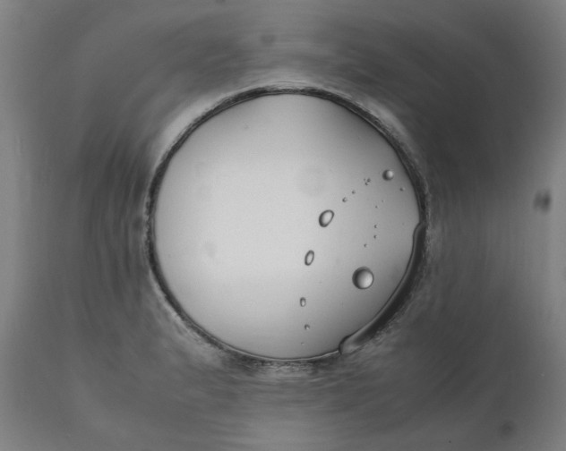 X0000112151183200908281333