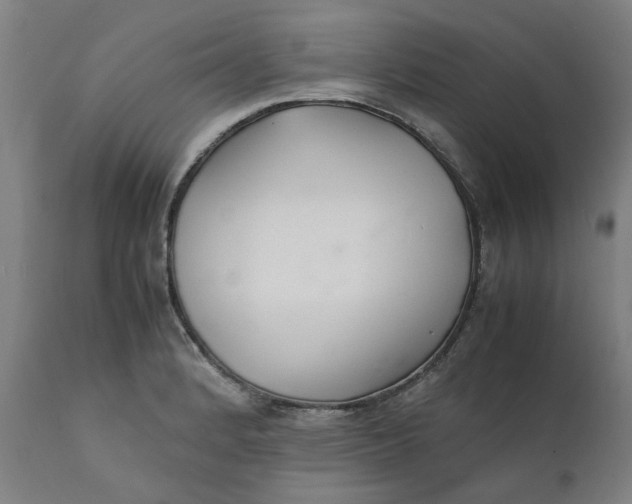 X0000112151184200908281333