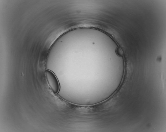 X0000112151185200908281333