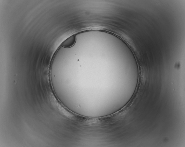 X0000112151186200908281333