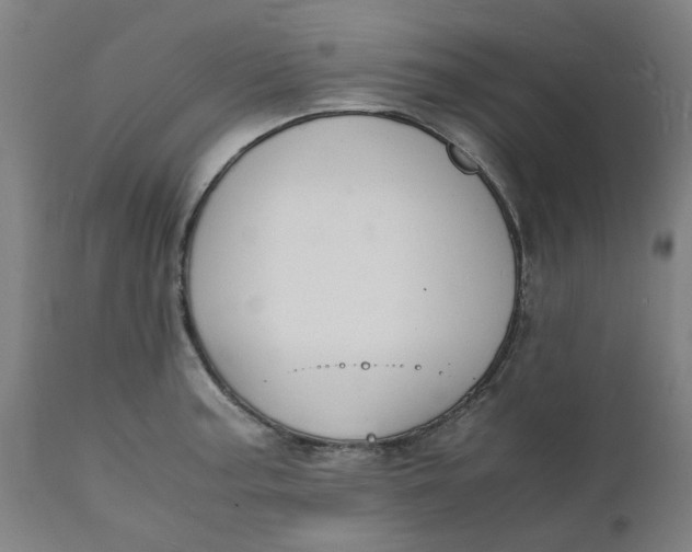 X0000112151187200908281333