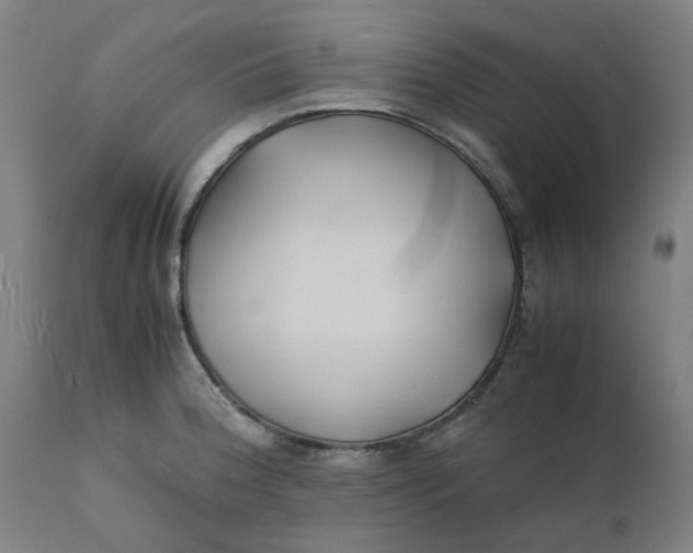 X0000112151188200908281333