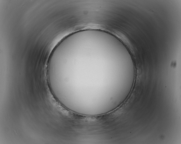X0000112151190200908281333