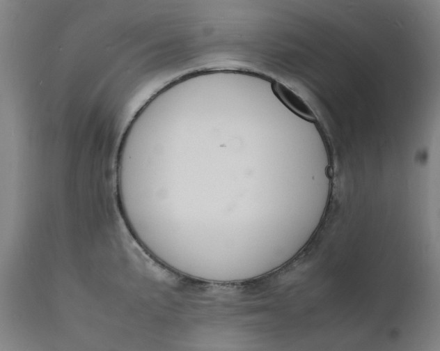 X0000112151191200908281333