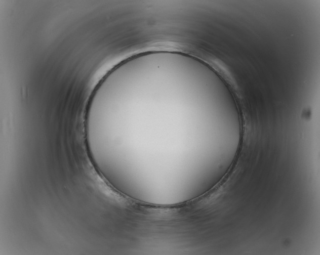 X0000112151192200908281333