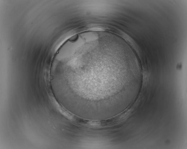 X0000112151194200908281333
