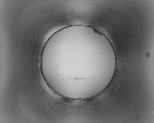 X0000112151195200908281333