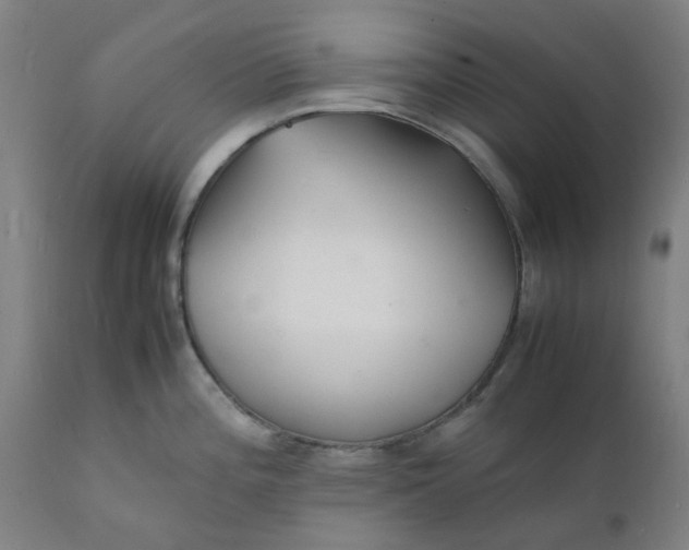 X0000112151196200908281333