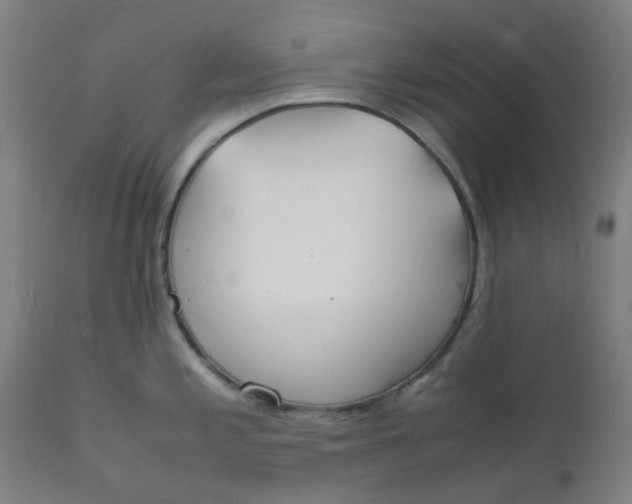 X0000112151197200908281333