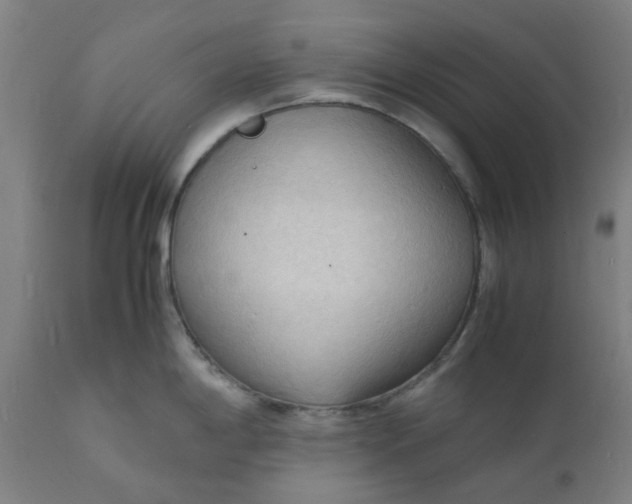 X0000112151198200908281333