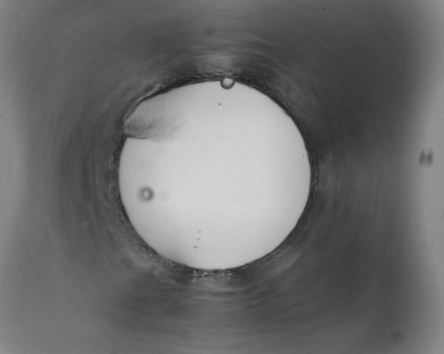 X0000112151201200908281332