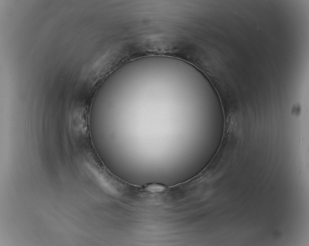 X0000112151202200908281332