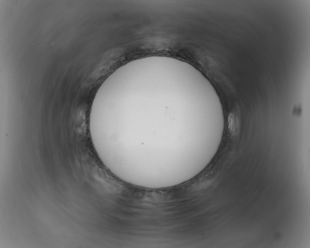 X0000112151203200908281332