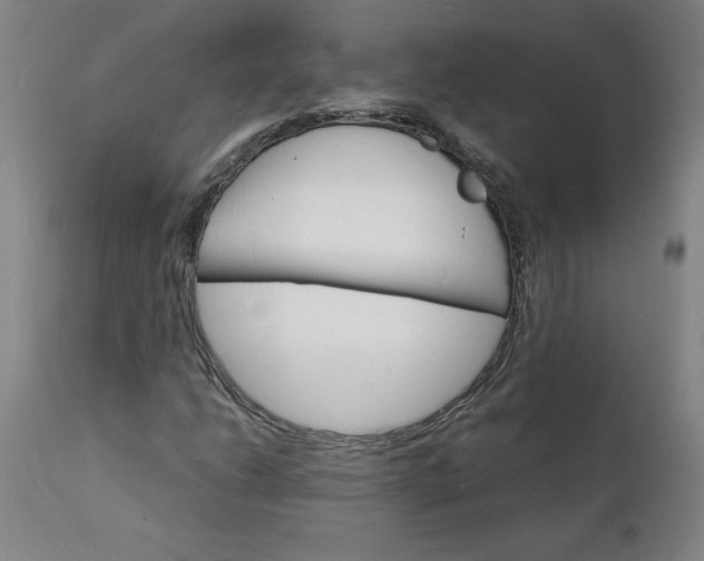 X0000112151206200908281332