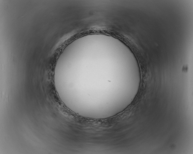X0000112151207200908281332