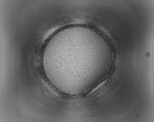 X0000112151208200908281332
