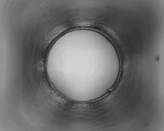 X0000112151209200908281332