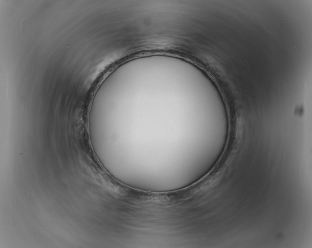 X0000112151210200908281332