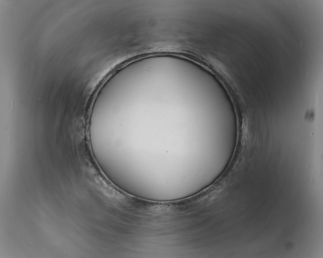 X0000112151212200908281332