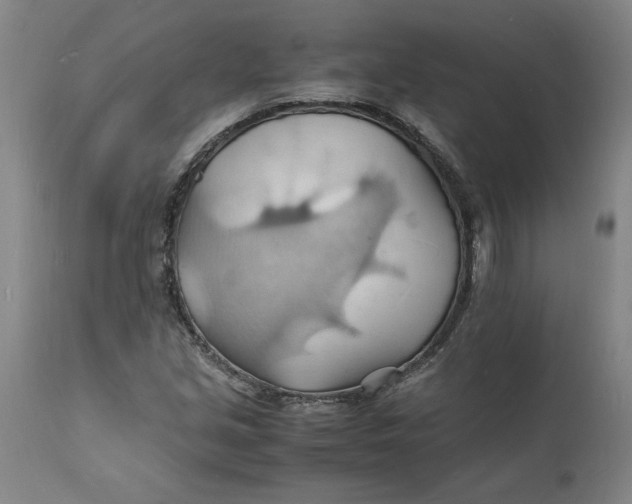 X0000112151213200908281332
