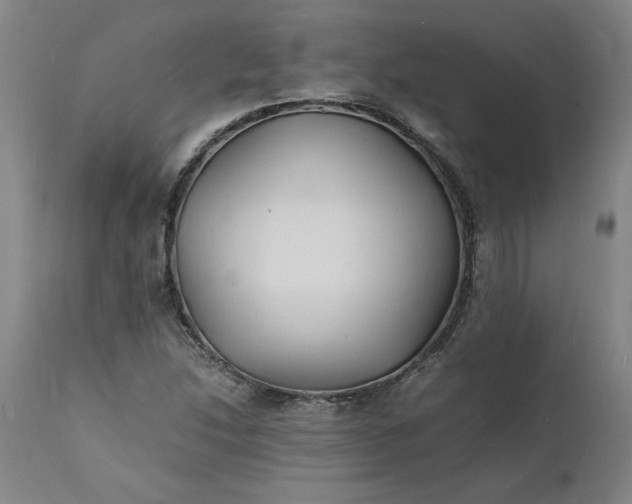 X0000112151214200908281332