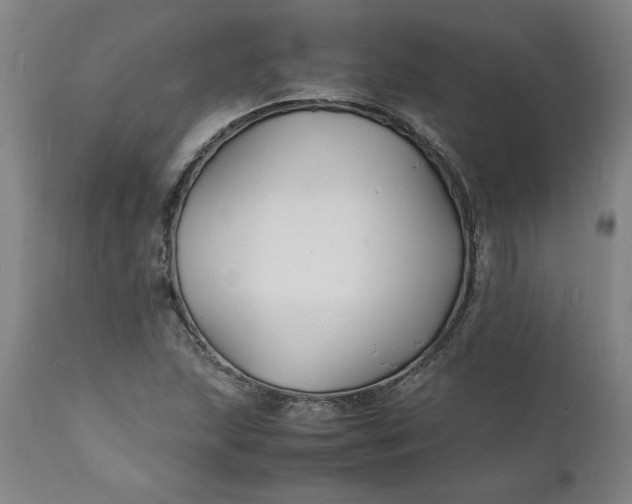X0000112151215200908281332