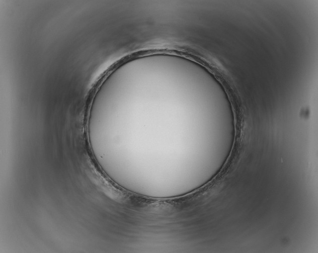 X0000112151216200908281332